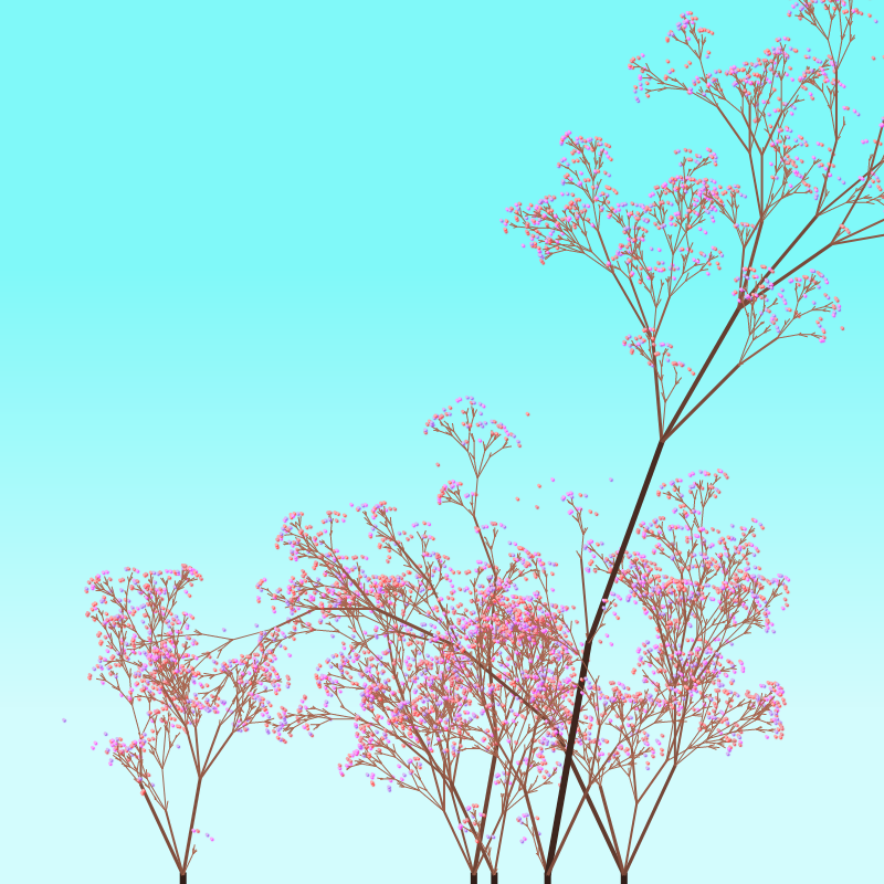 peach blossom tree