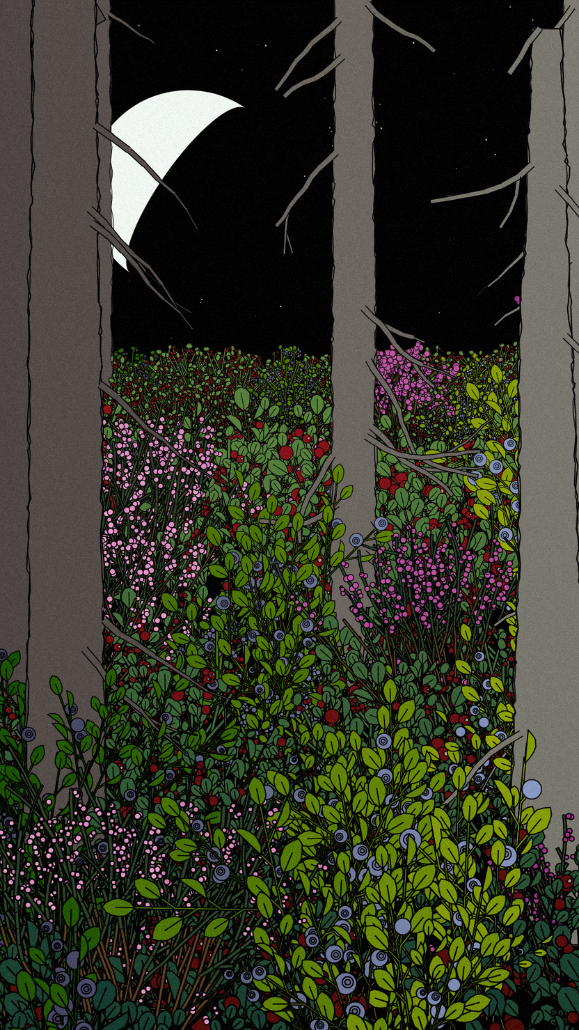 Swedish Forest #15