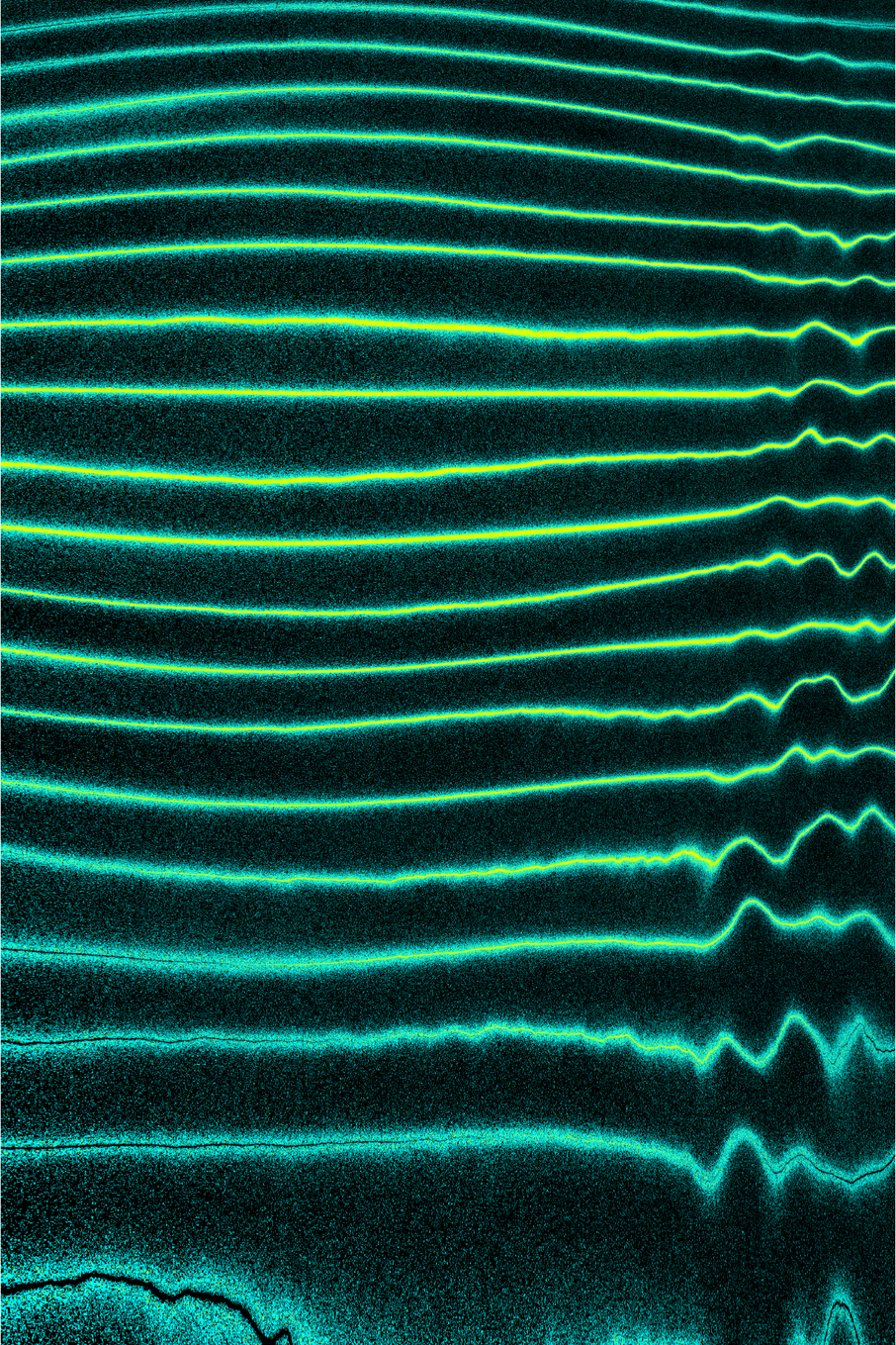 Linear Perturbations #53