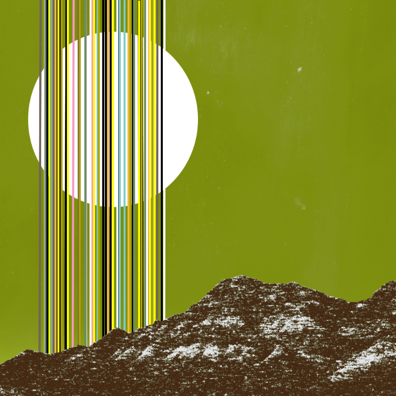 collage #1  from nature #17