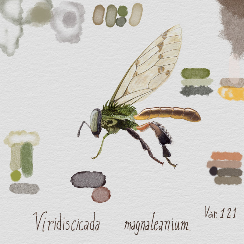 Randomic Brazilian Insects 1 #8