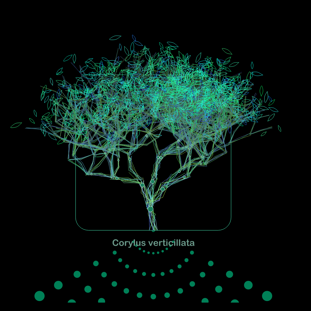 Fluidynamix - Trees #25