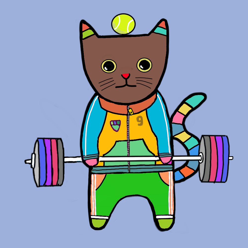 Sports cat #5