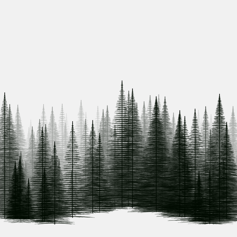 Pine trees in the cold #9