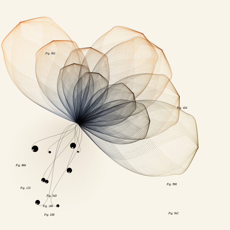 Herbarium #106