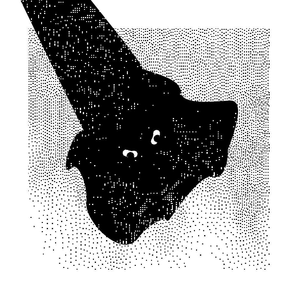 Missingno #53