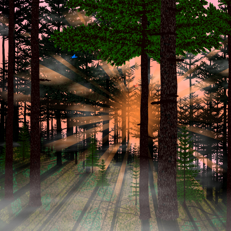 Forest Sunrise #15