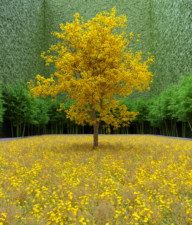 Garden of Imagination #72