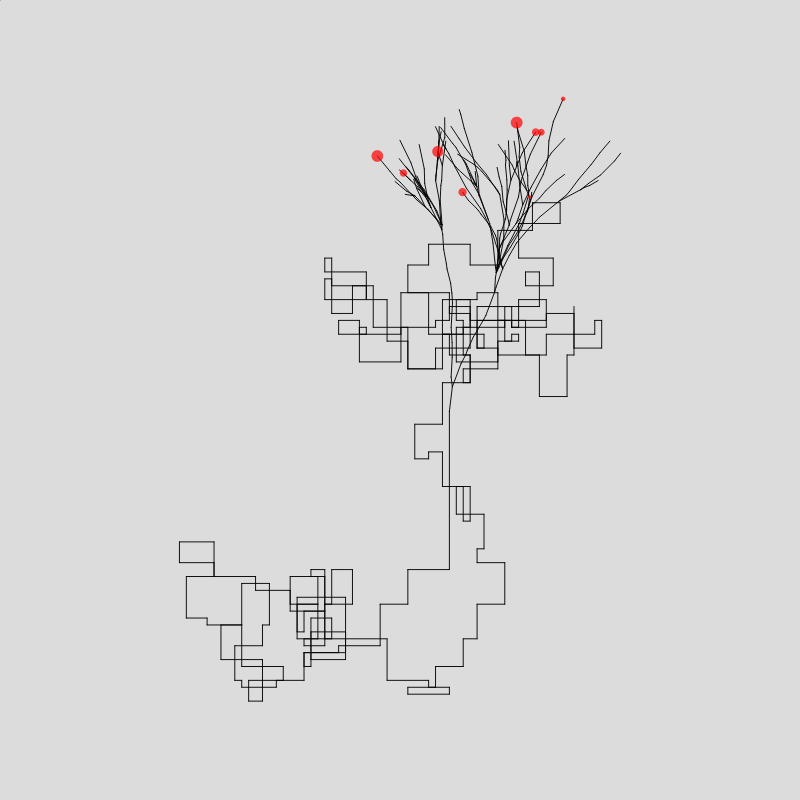 Algorithmic Tree #6