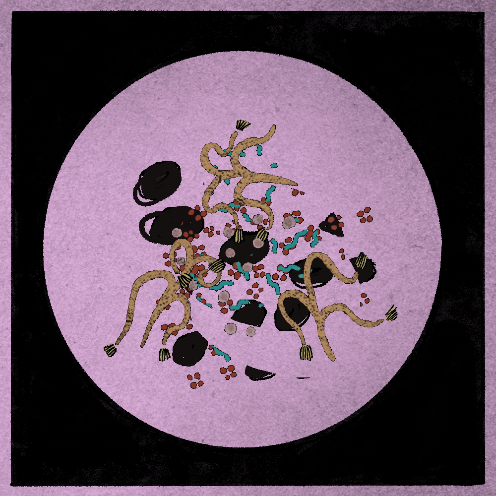 Microbes #97