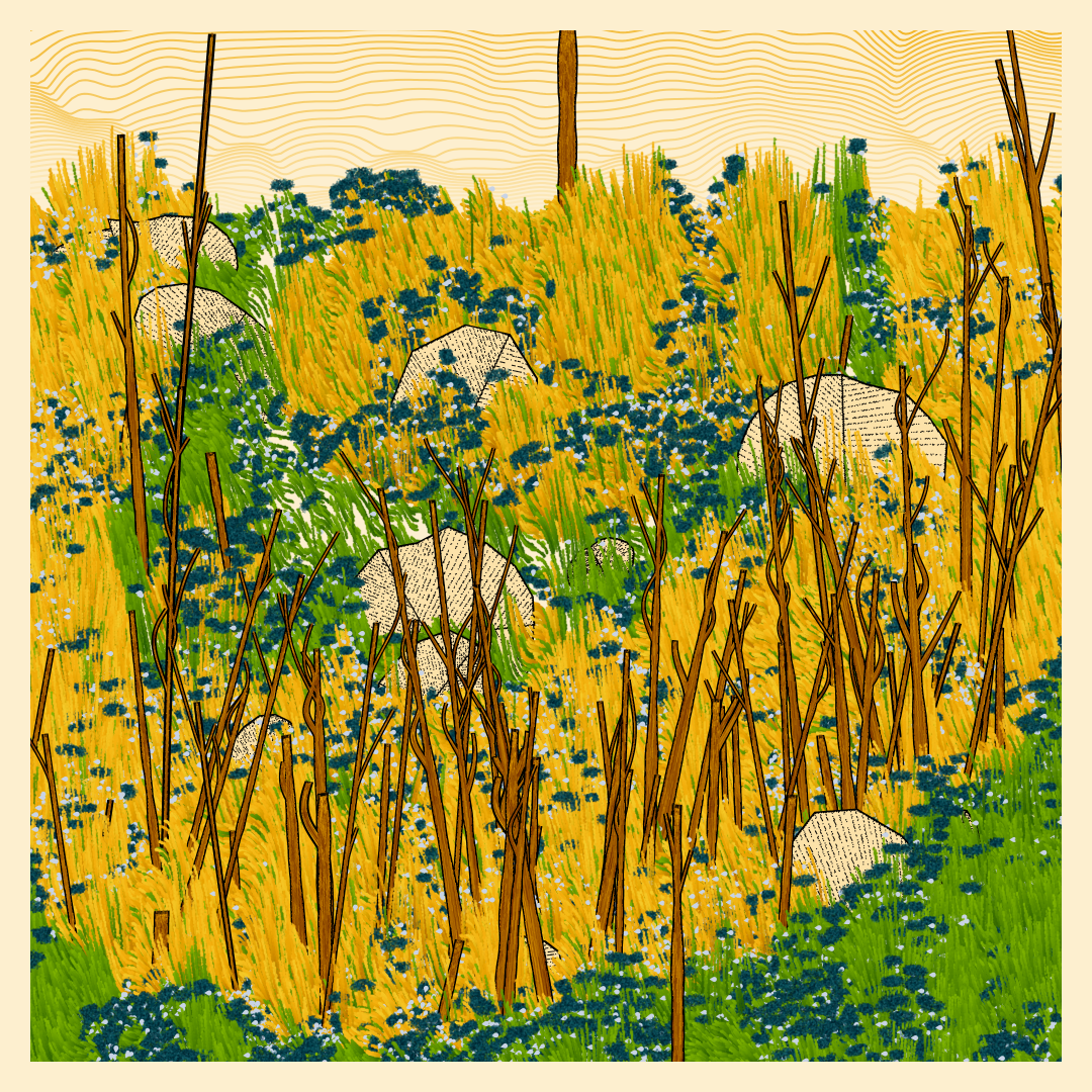 Bagh #18