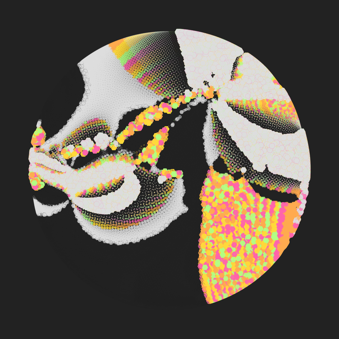 Still C #28406
