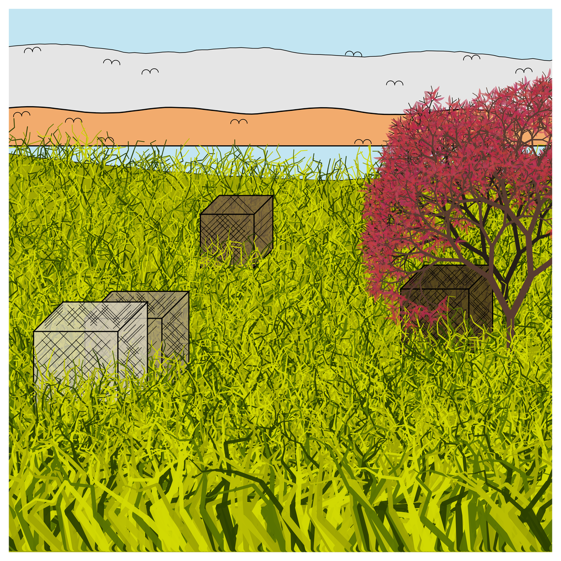 Cube Forest #77