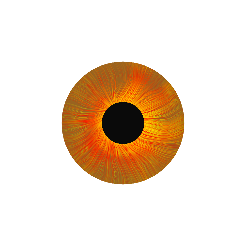 FX(eyes) - Experiment w/ Fractals