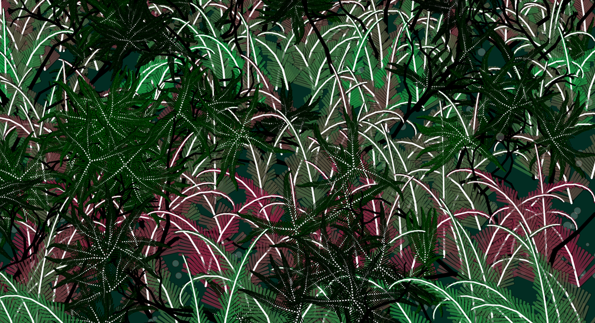 Fern Forest #7