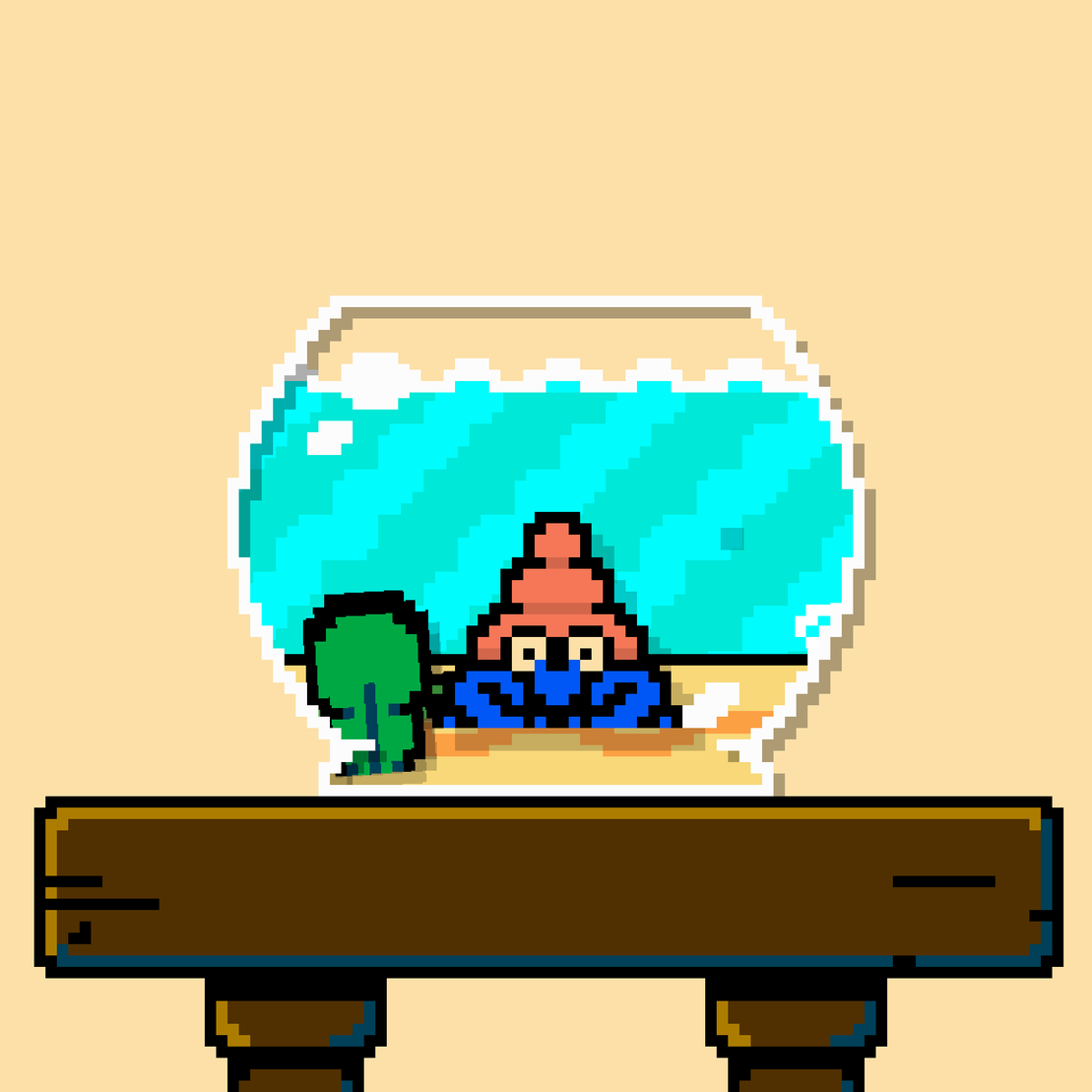 hermit crab #36