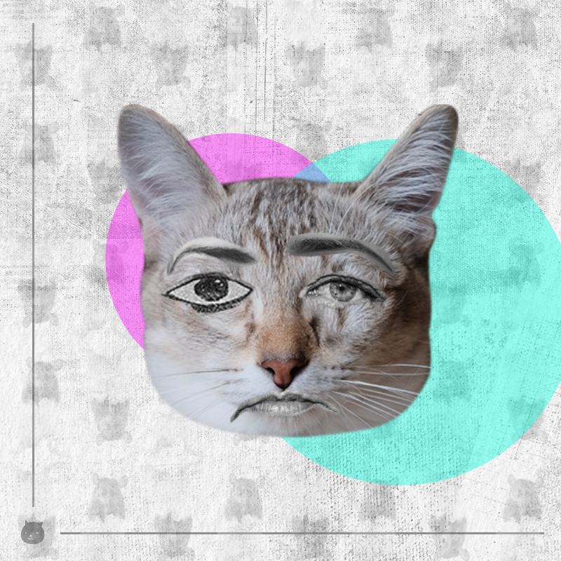 Kittenstein #47