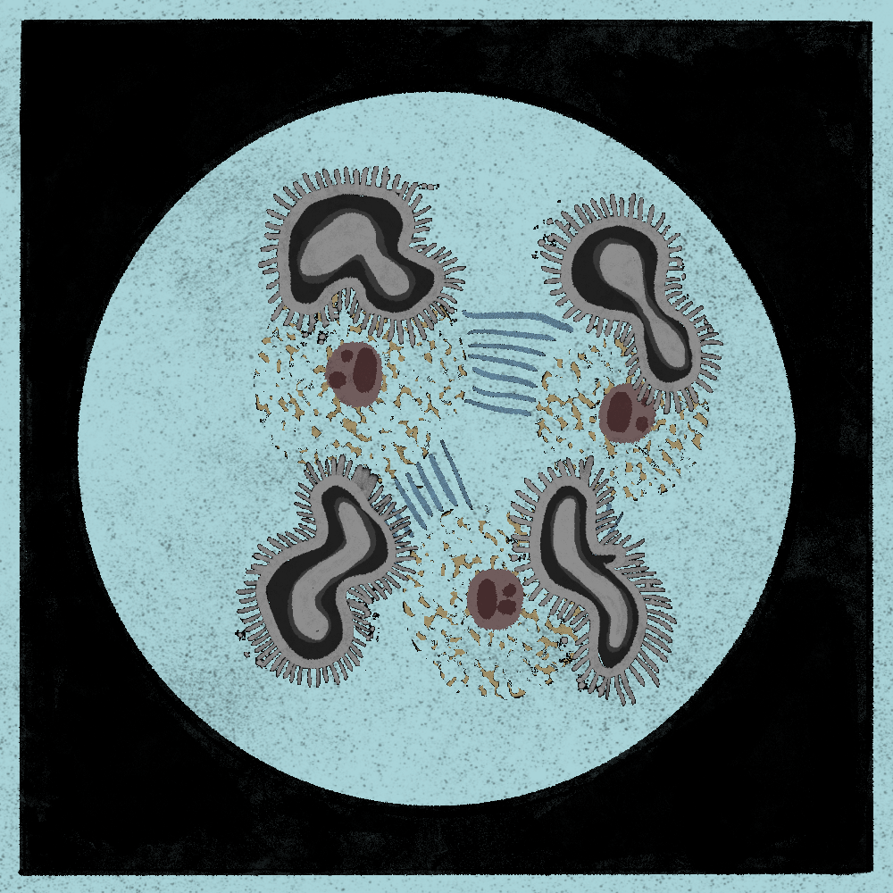 Microbes #246