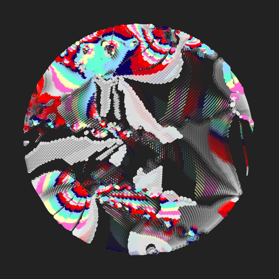 Still C #12445
