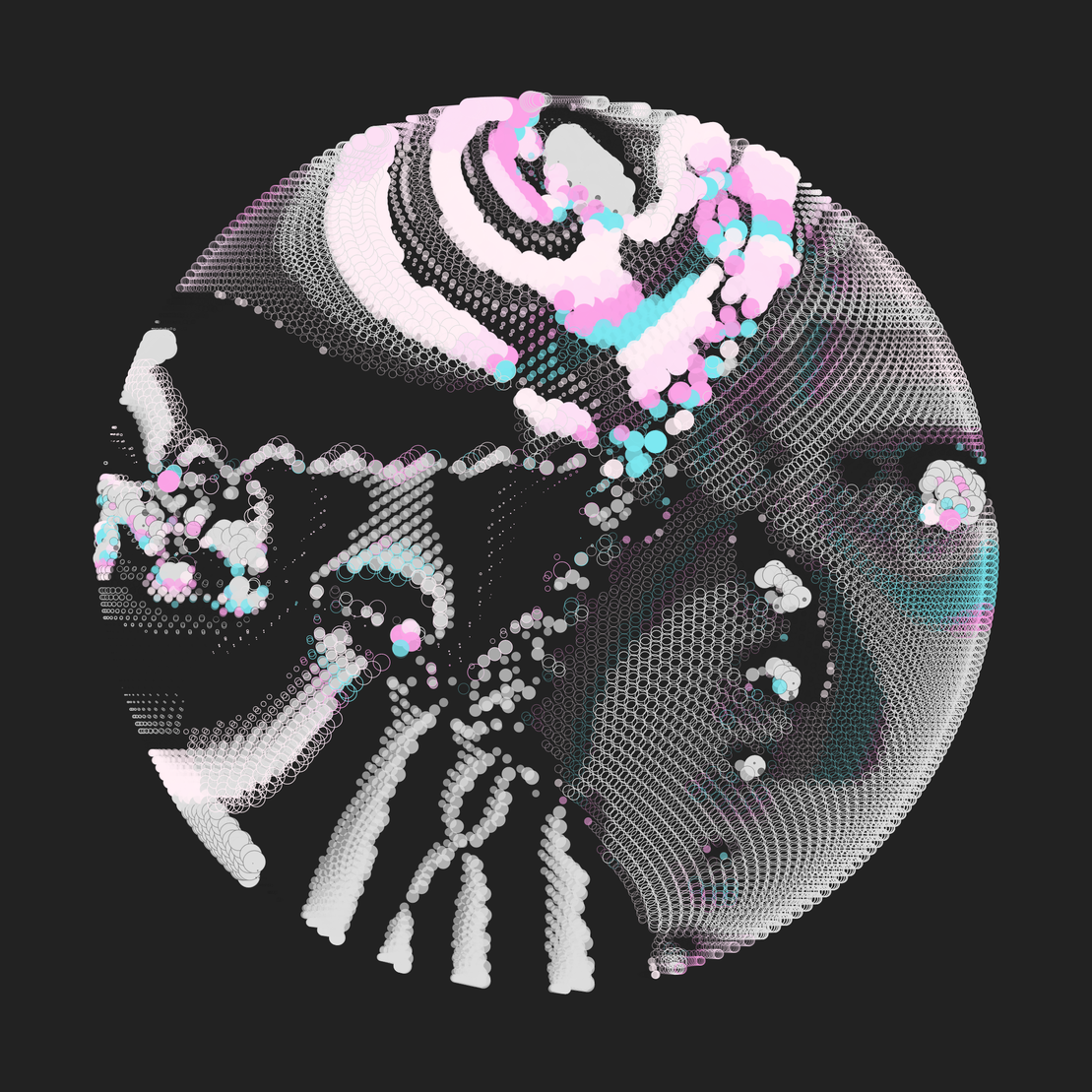 Still C #21465
