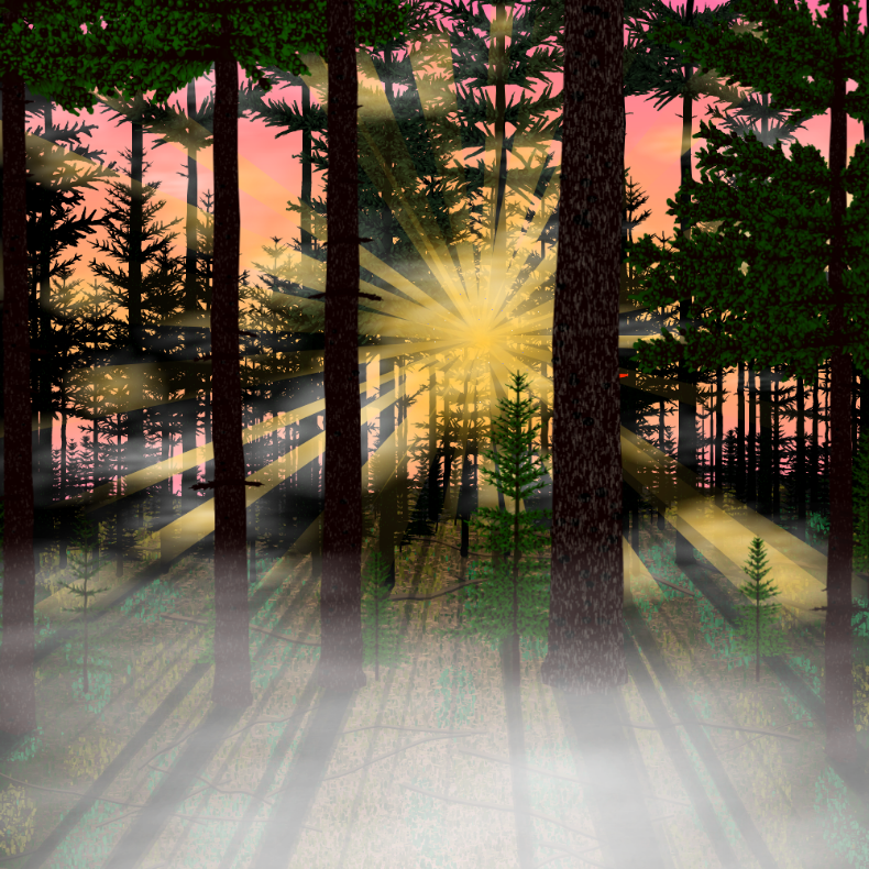 Forest Sunrise #48