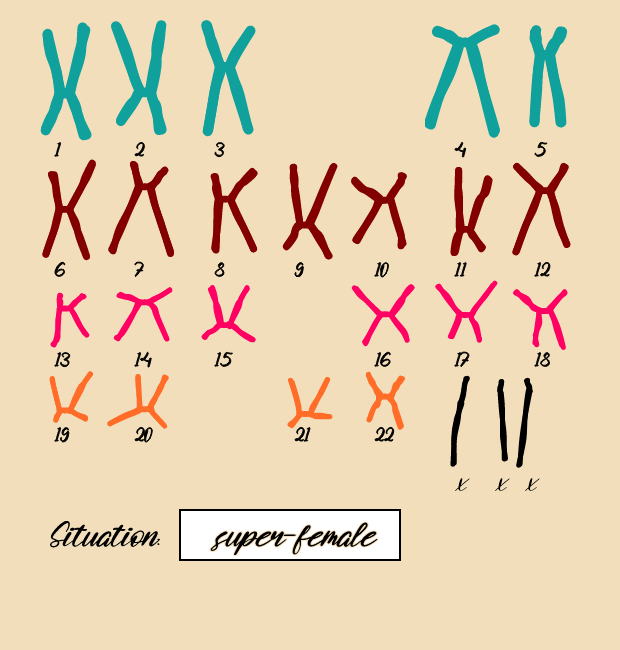 "Karyotype" #19