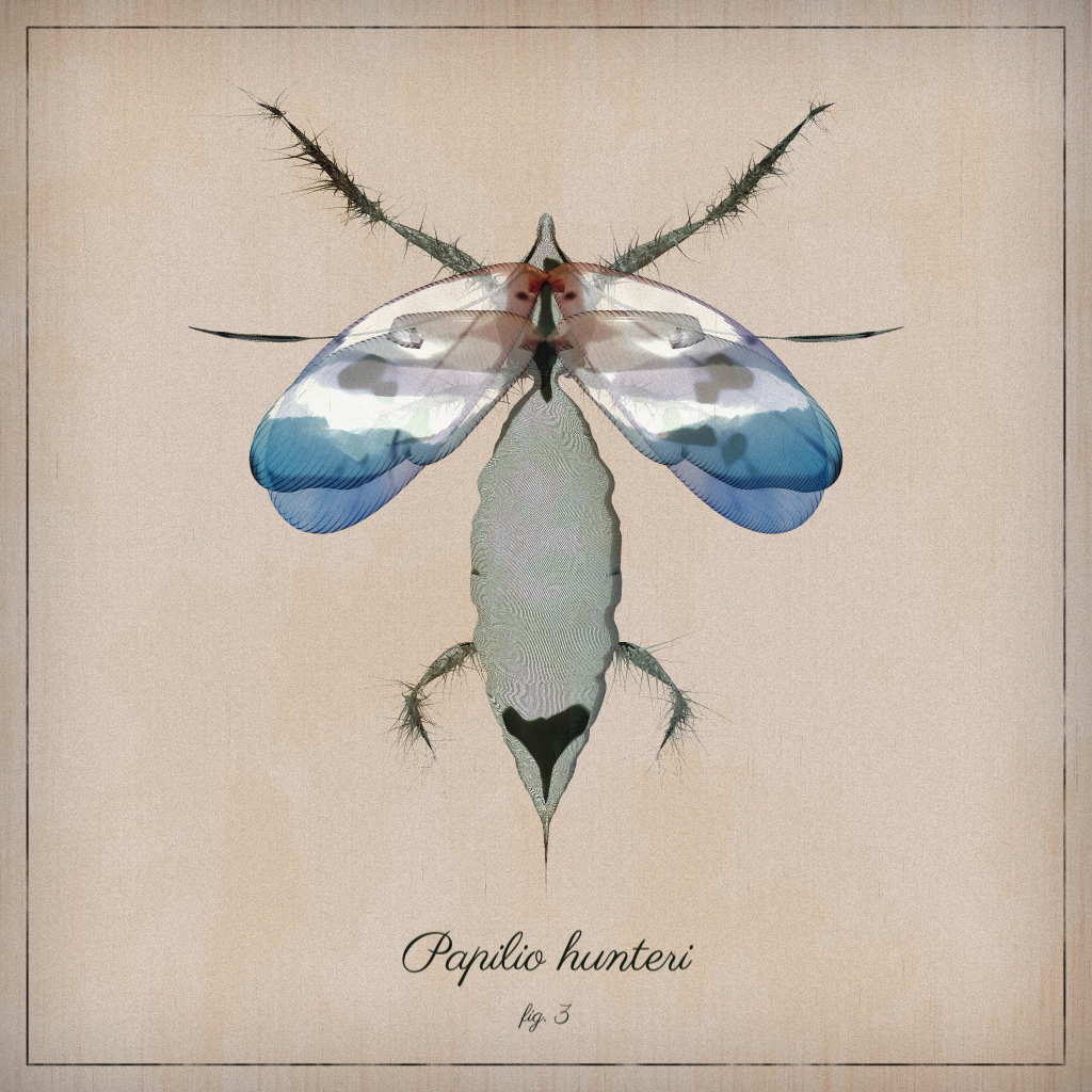 ProcGen Entomology #336