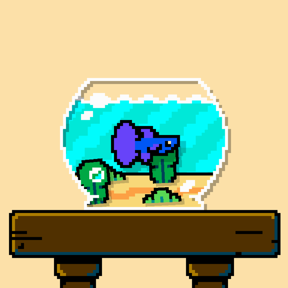 betta fish #466