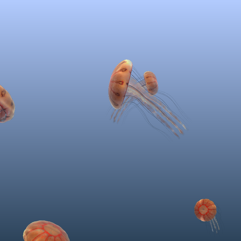 Jellyfish #13