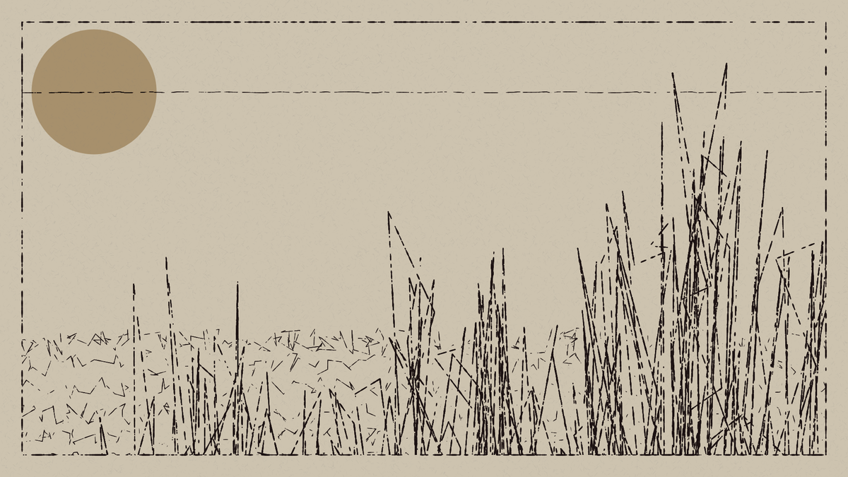 scratches & circles: landscape edition #47