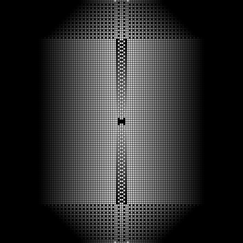 Cellular Canvas #220