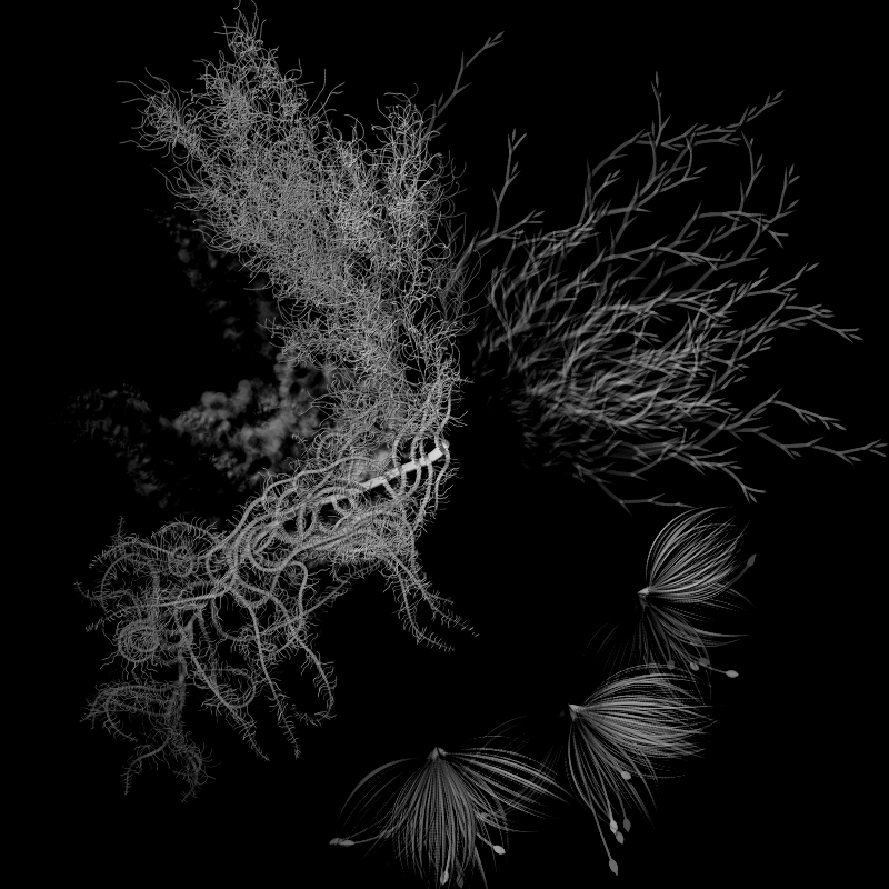 Botanical Ghosts #44