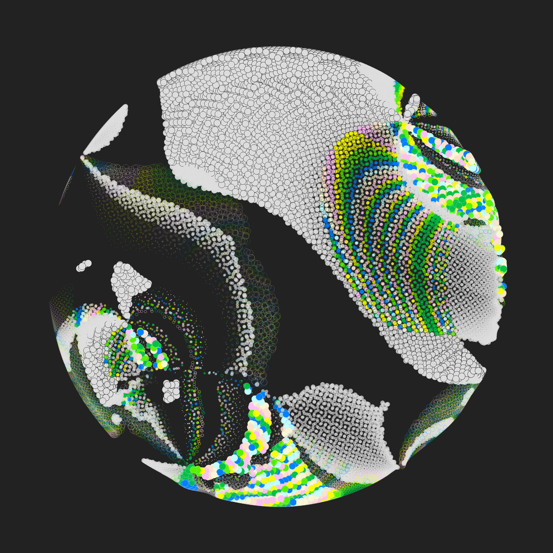 Still C #32108