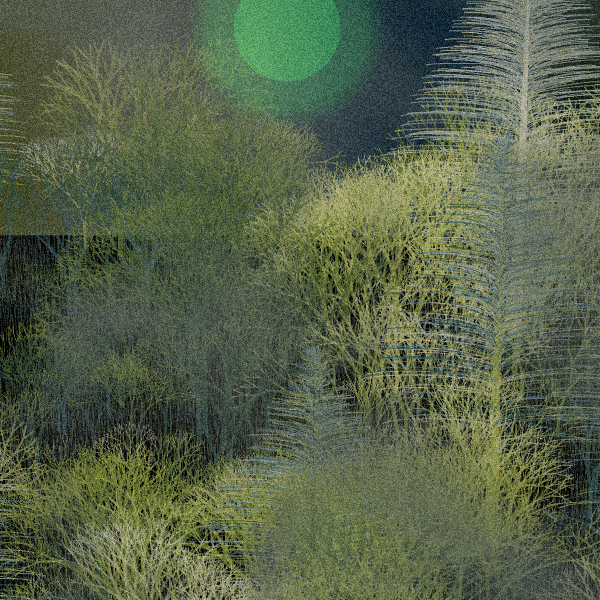 Moonlit Native Bush #4