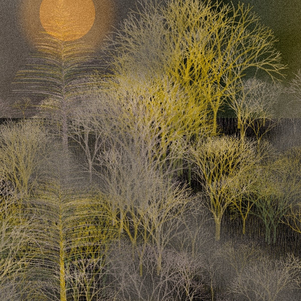 Moonlit Native Bush #43