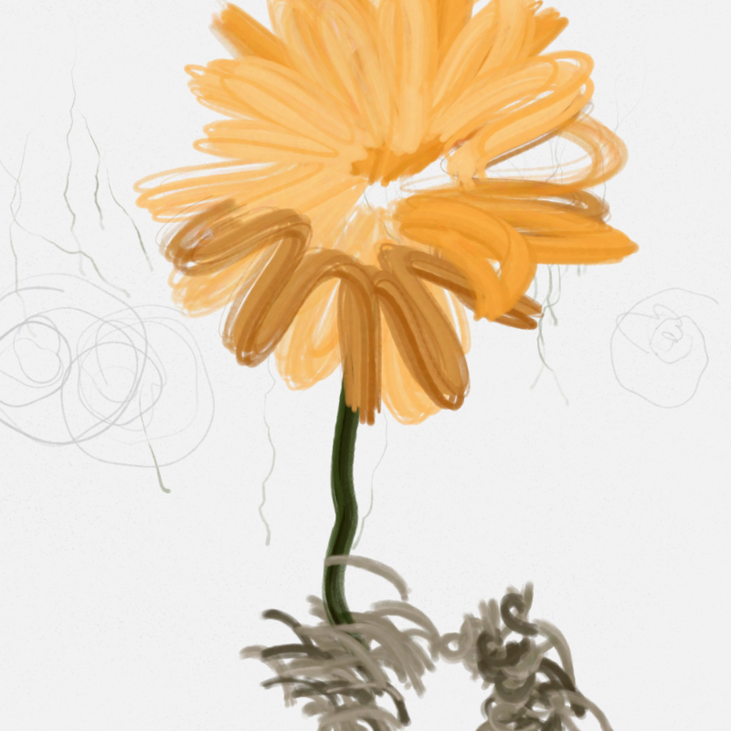 The Likeness of a Flower #145