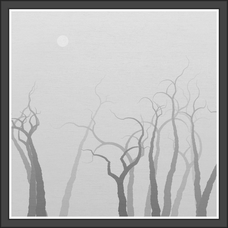 The Foggy Trees #51