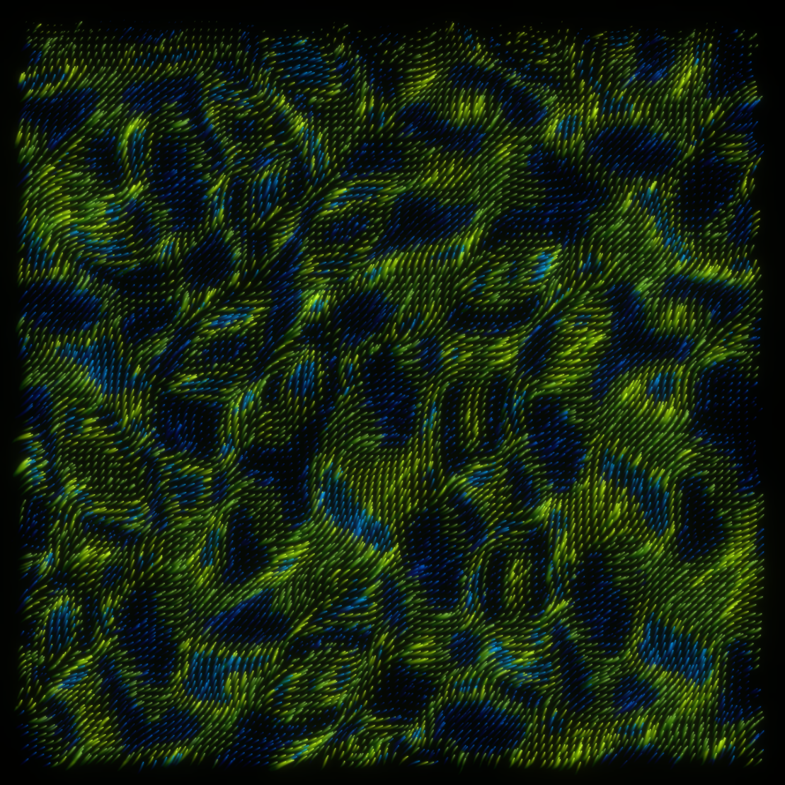 flow | meditations #190