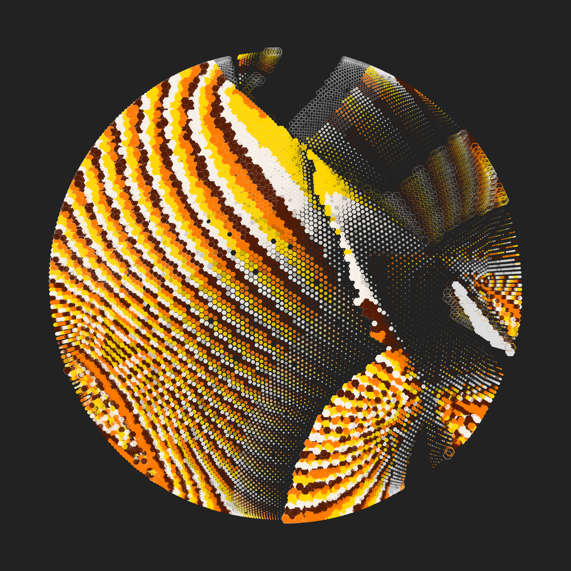 Still C #21063