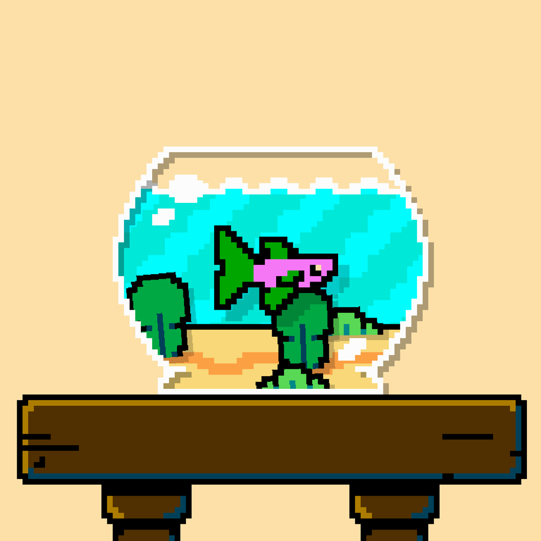 betta fish #517