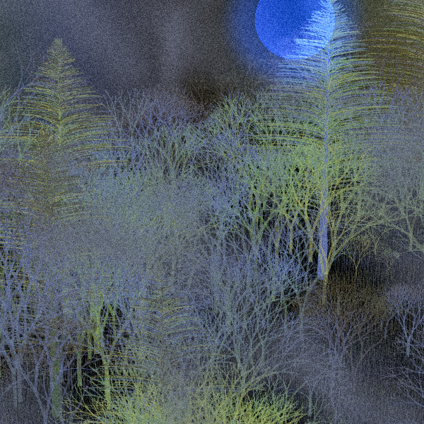 Moonlit Native Bush #46