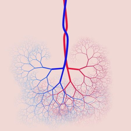 capillary trees #4