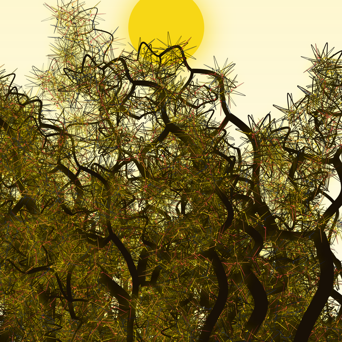 Wildwood Forest #282