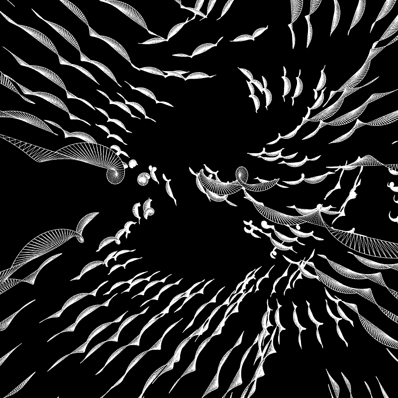 Paths of life #80