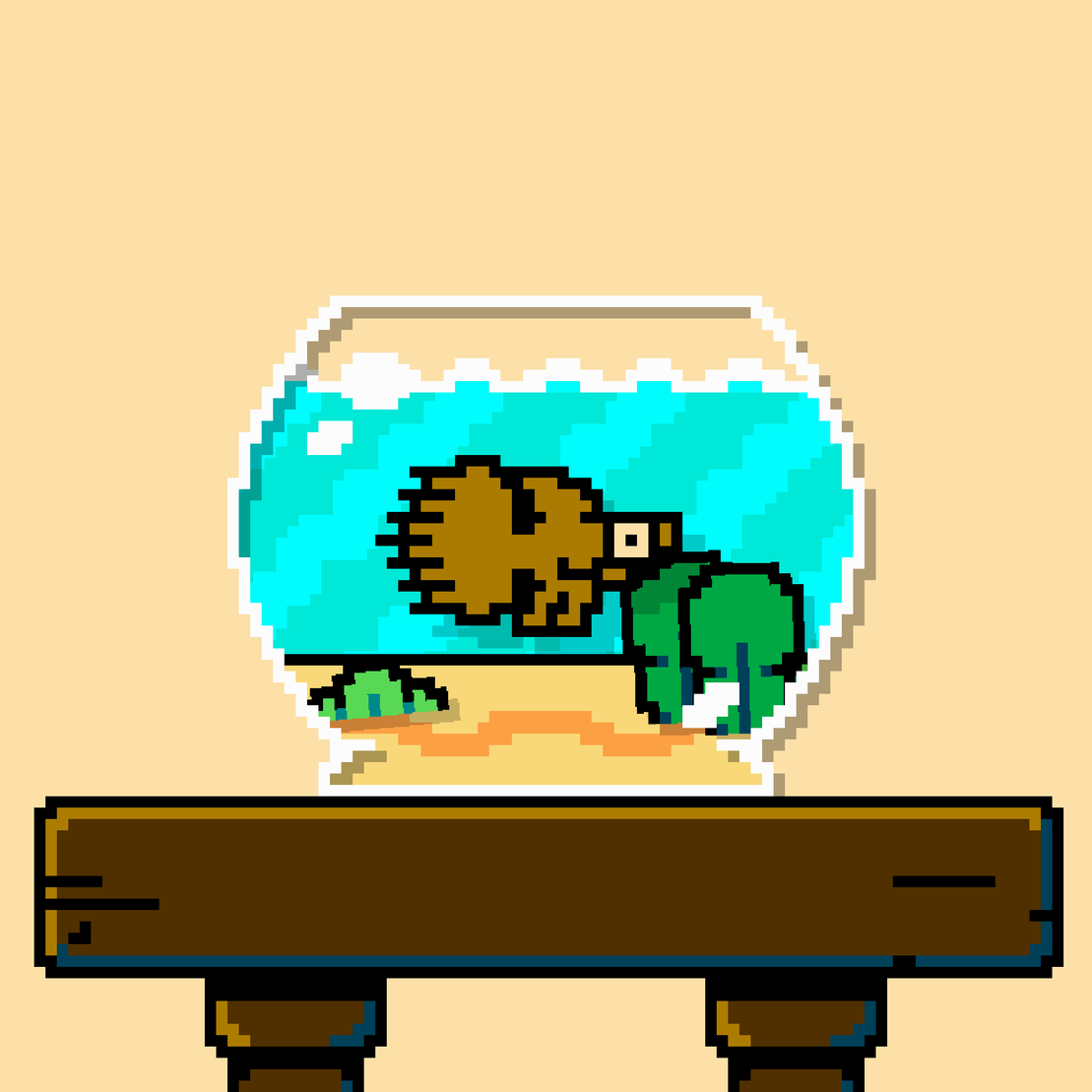 betta fish #418