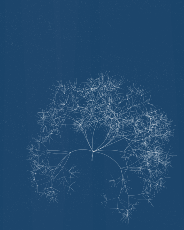 Cyanotypes #207