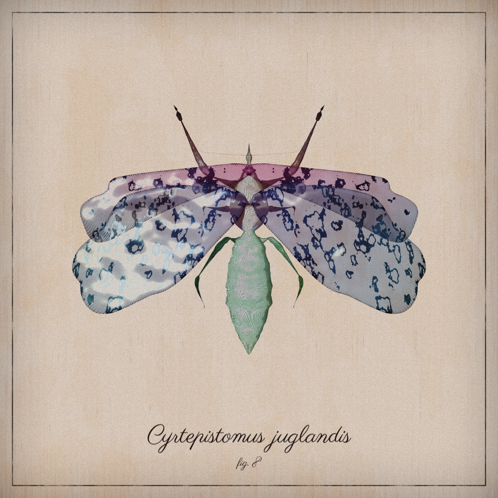 ProcGen Entomology #97