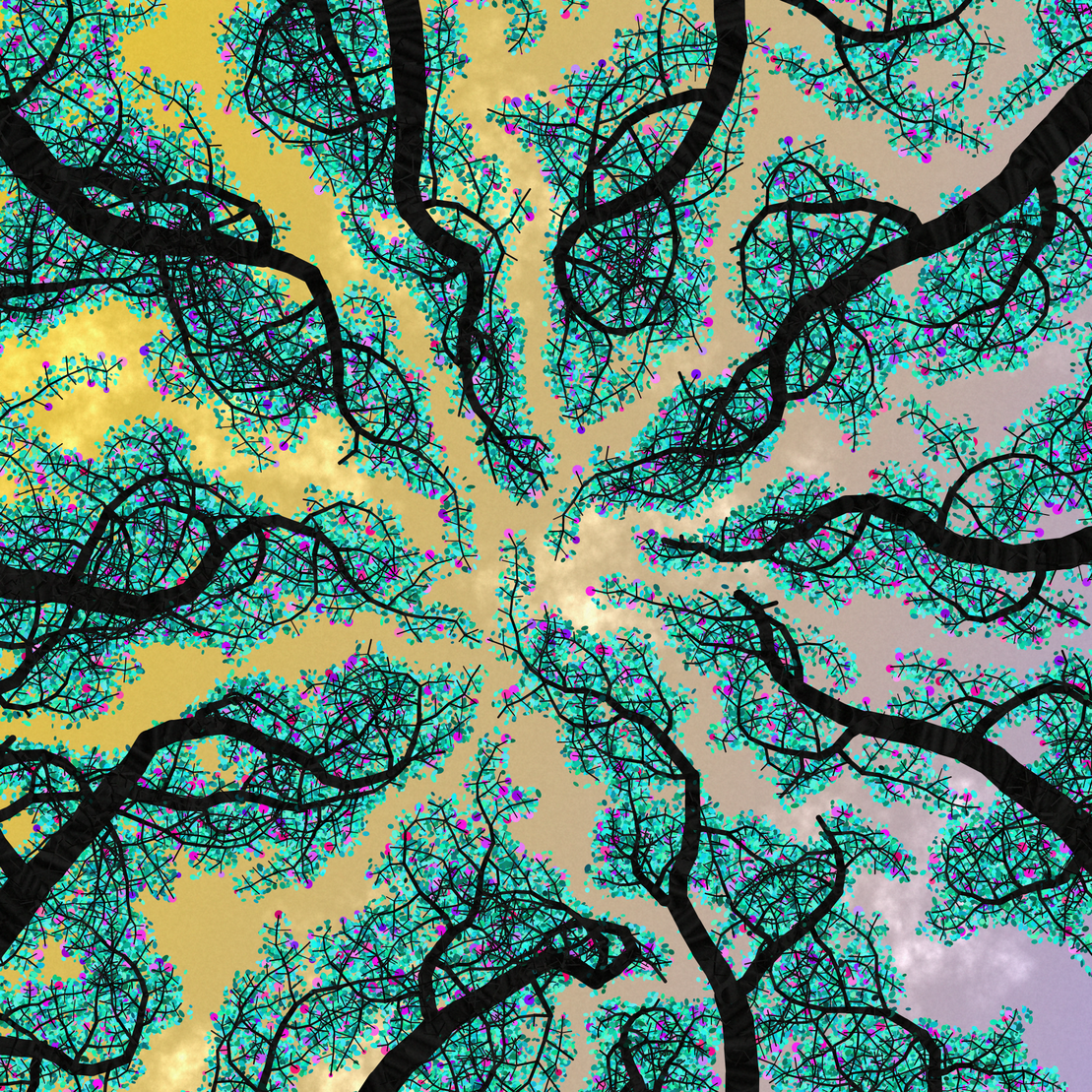 Tree Skyness #8