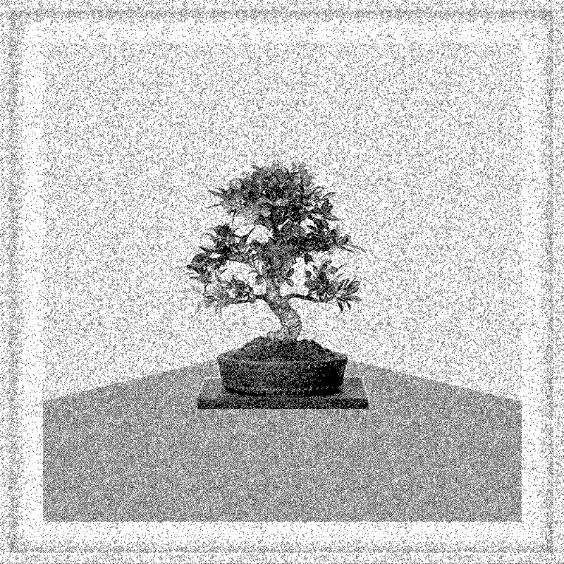 Bonsai Bonanza #614