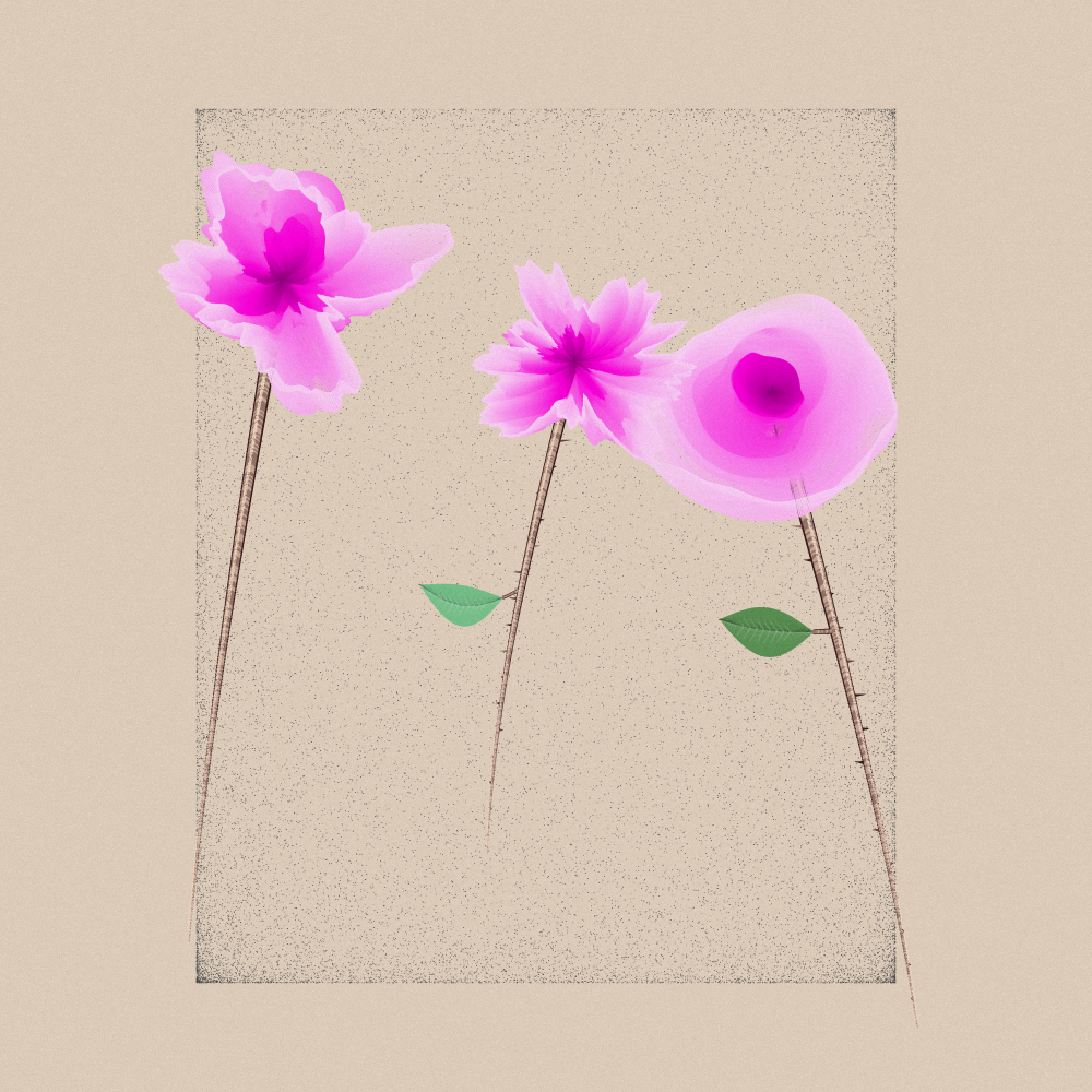Magnolia #102